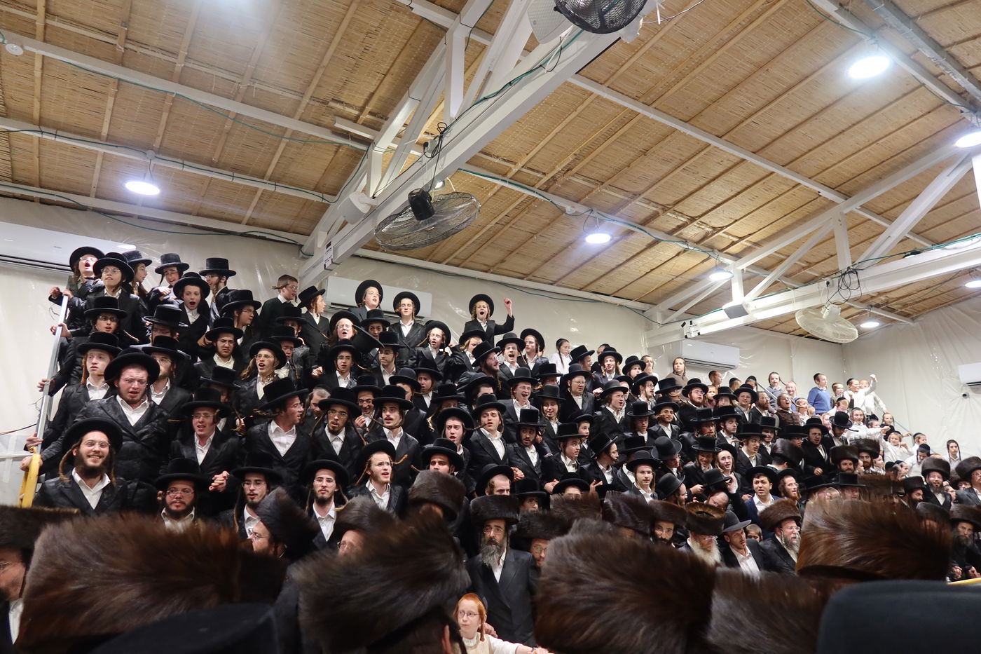 סוכות בחצה"ק זוועיהל