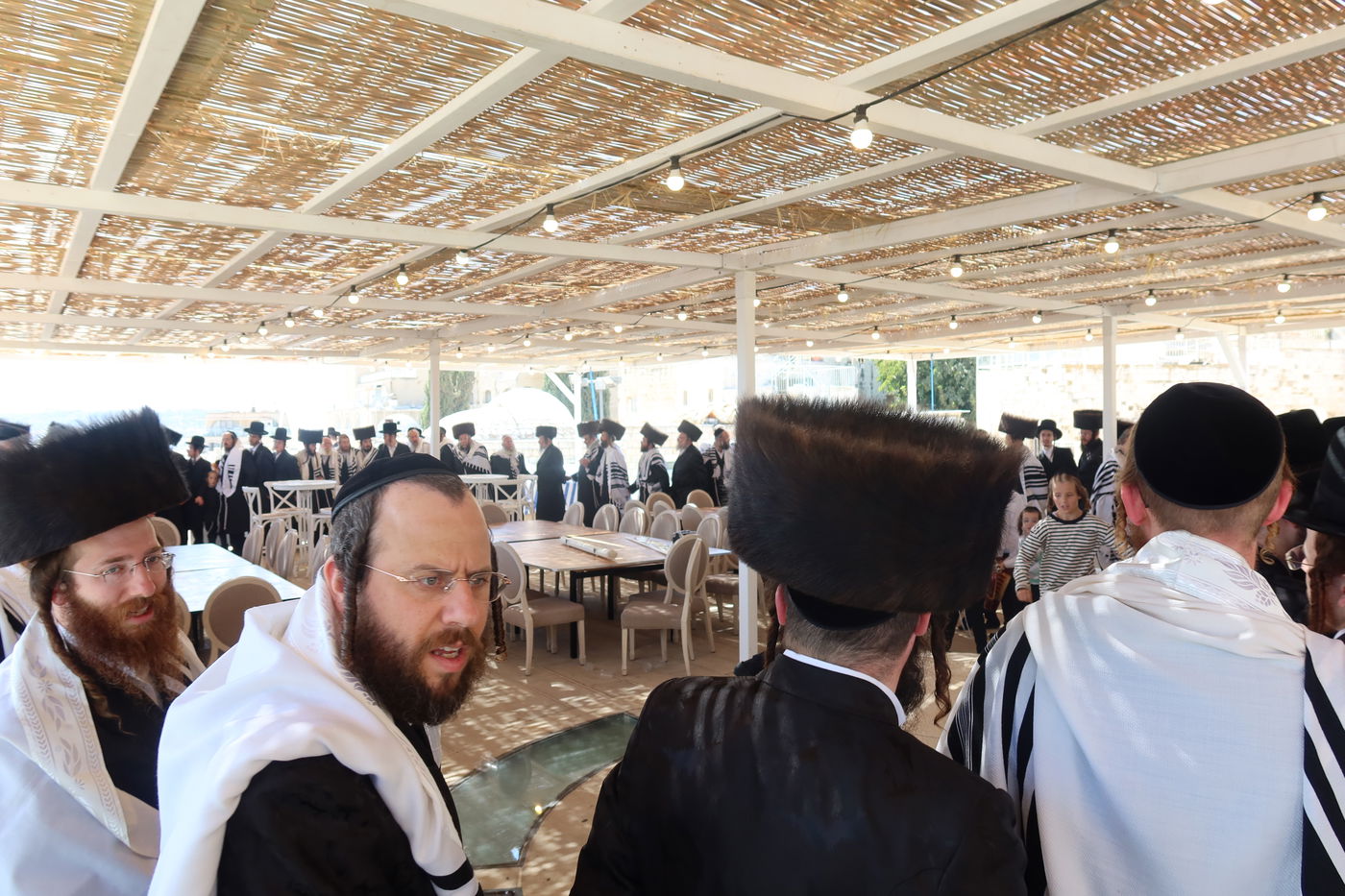 סוכות בחצה"ק זוועיהל