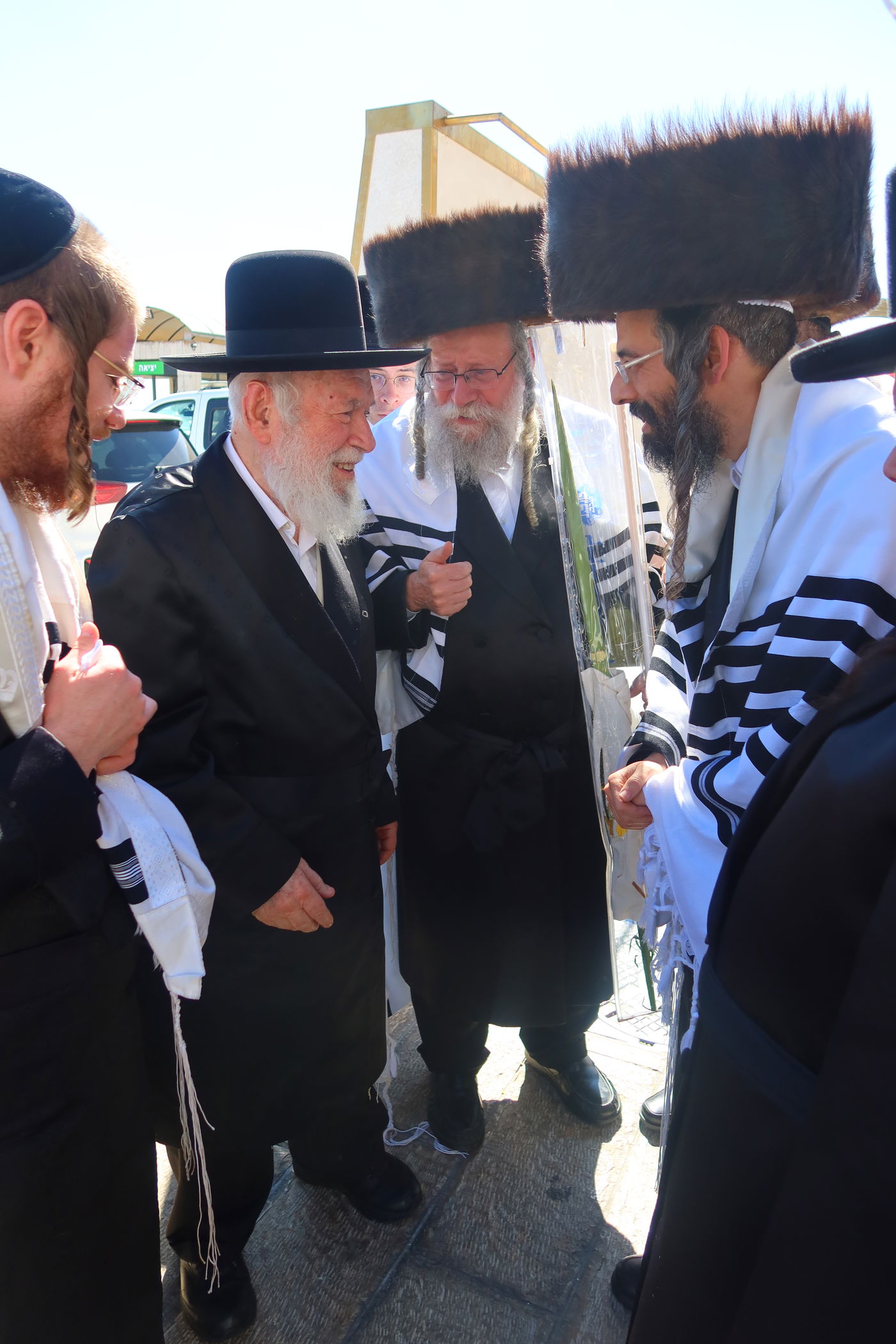 סוכות בחצה"ק זוועיהל