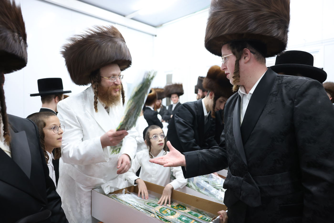 סוכות בחצר ספינקא בית שמש