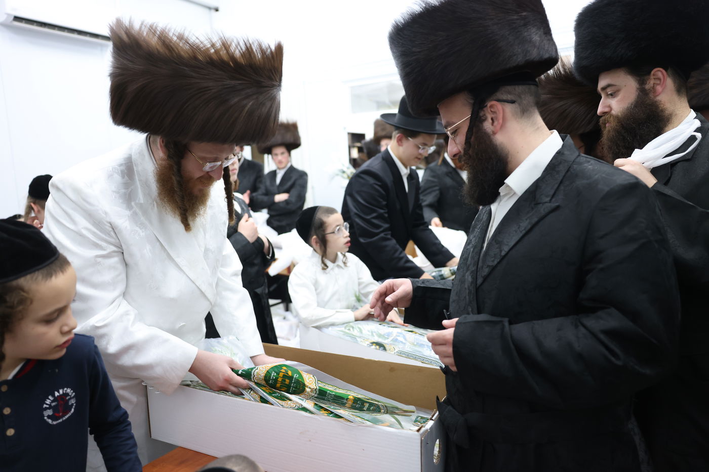 סוכות בחצר ספינקא בית שמש