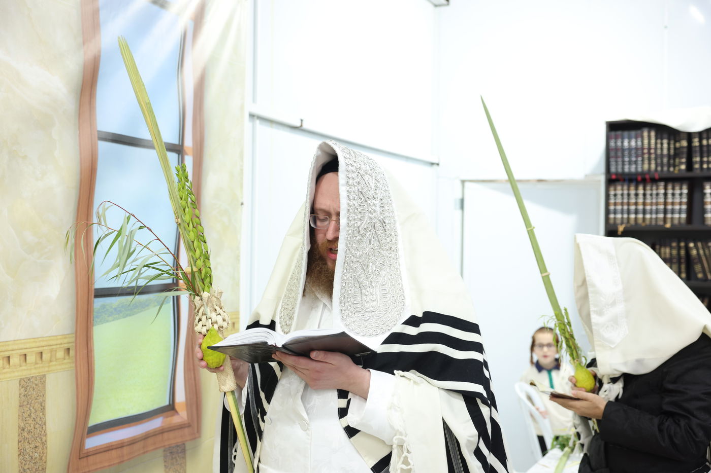 סוכות בחצר ספינקא בית שמש