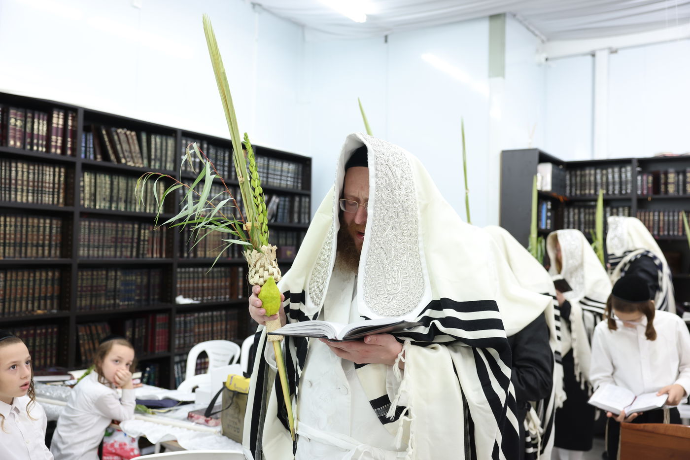 סוכות בחצר ספינקא בית שמש