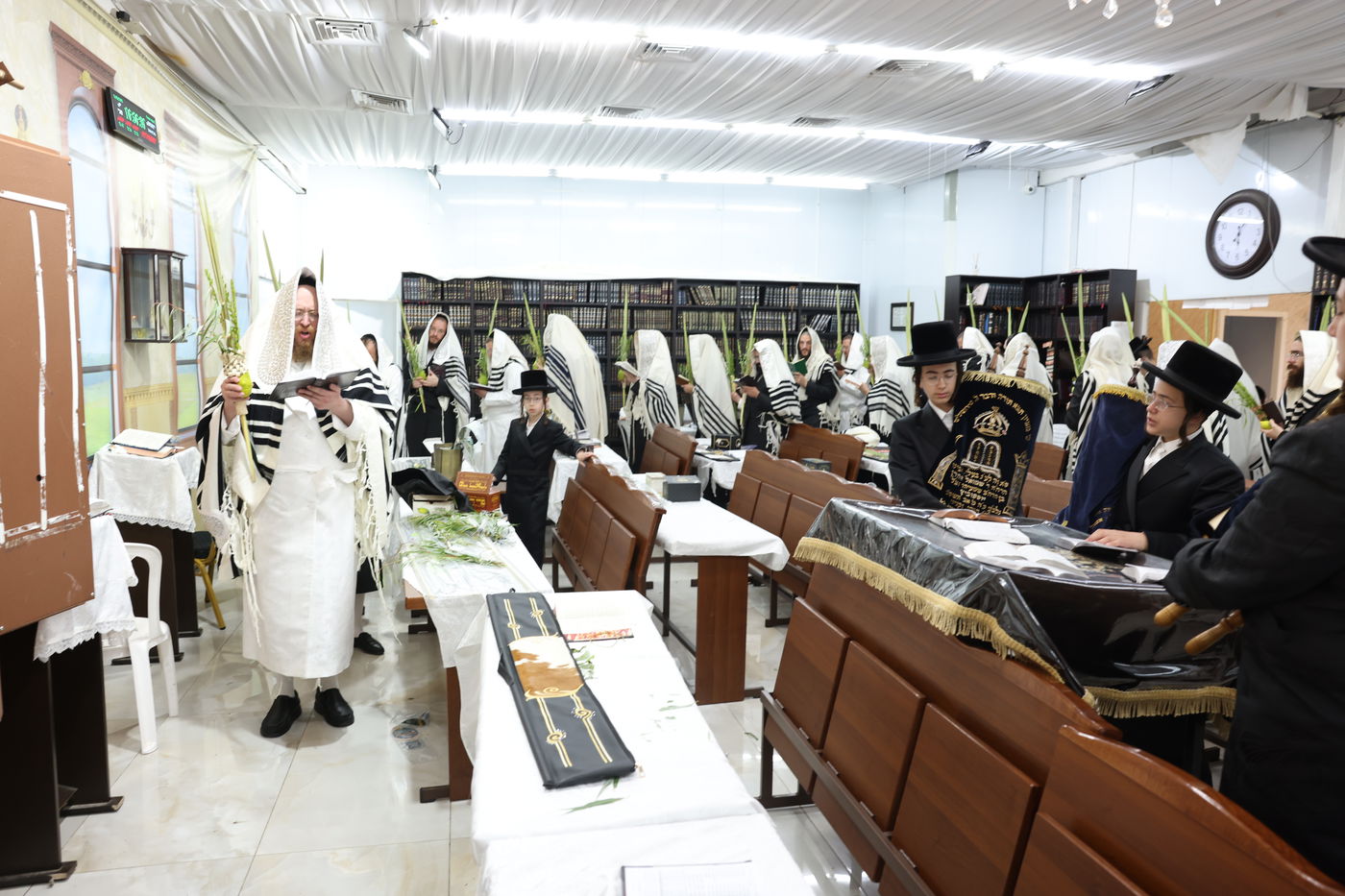 סוכות בחצר ספינקא בית שמש