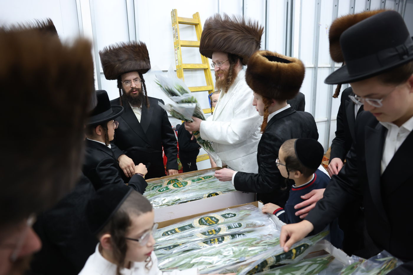 סוכות בחצר ספינקא בית שמש