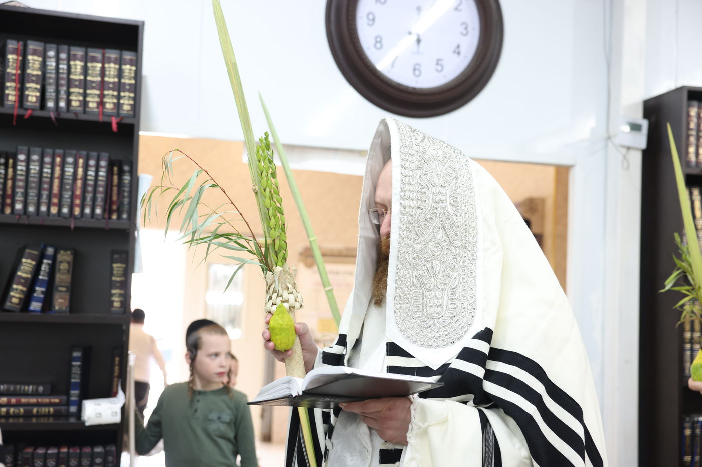 סוכות בחצר ספינקא בית שמש