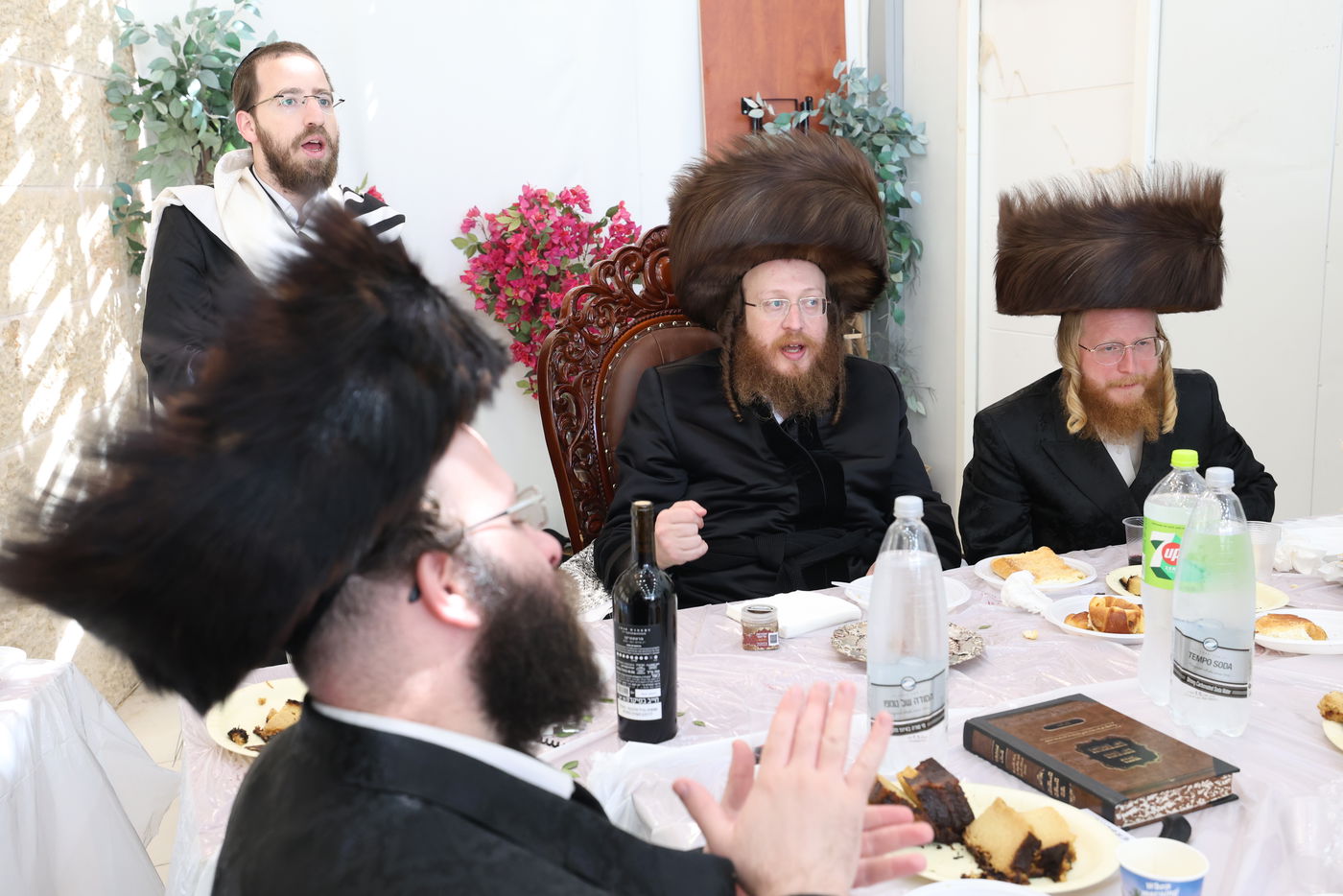 סוכות בחצר ספינקא בית שמש