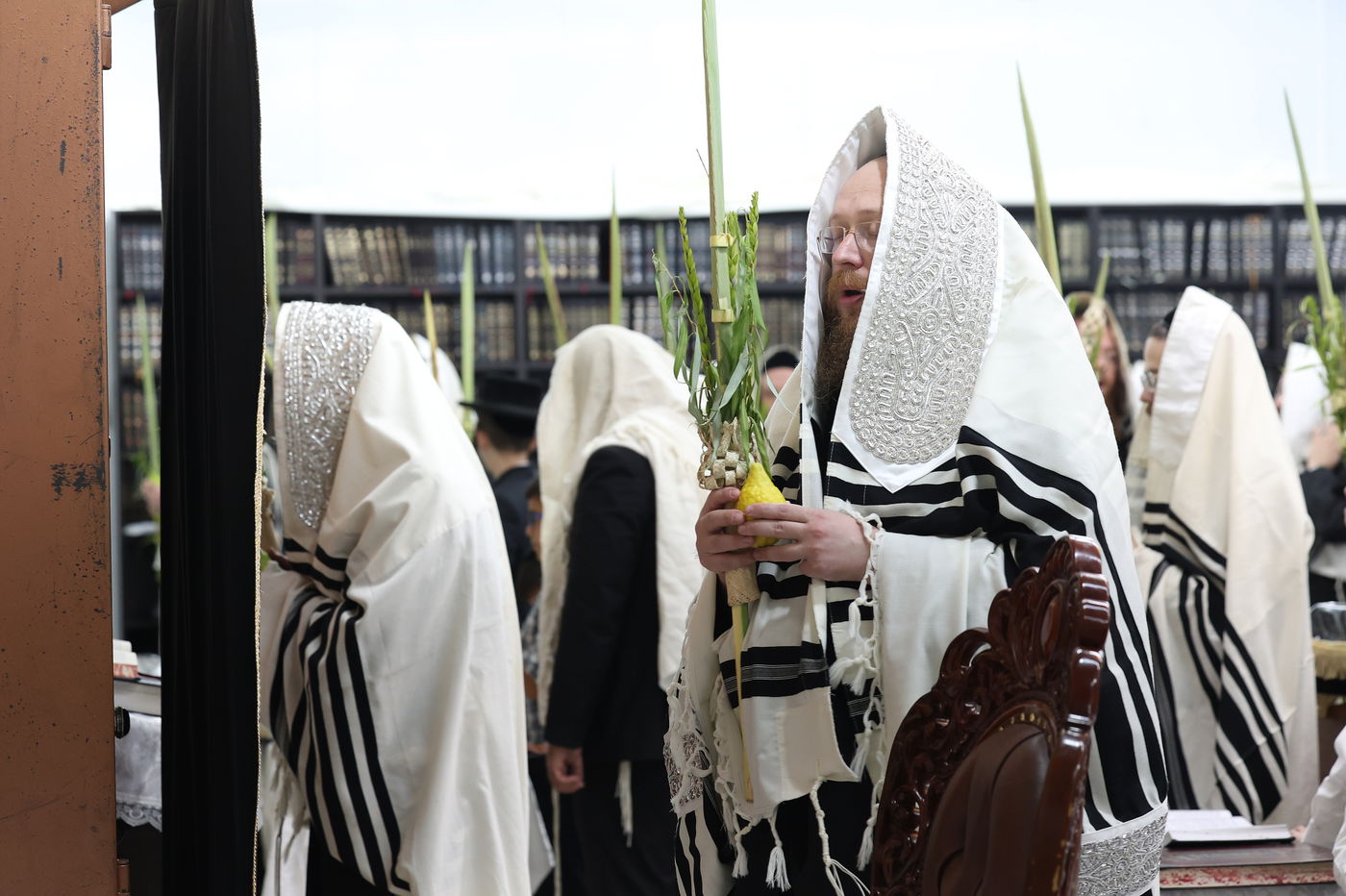 סוכות בחצר ספינקא בית שמש
