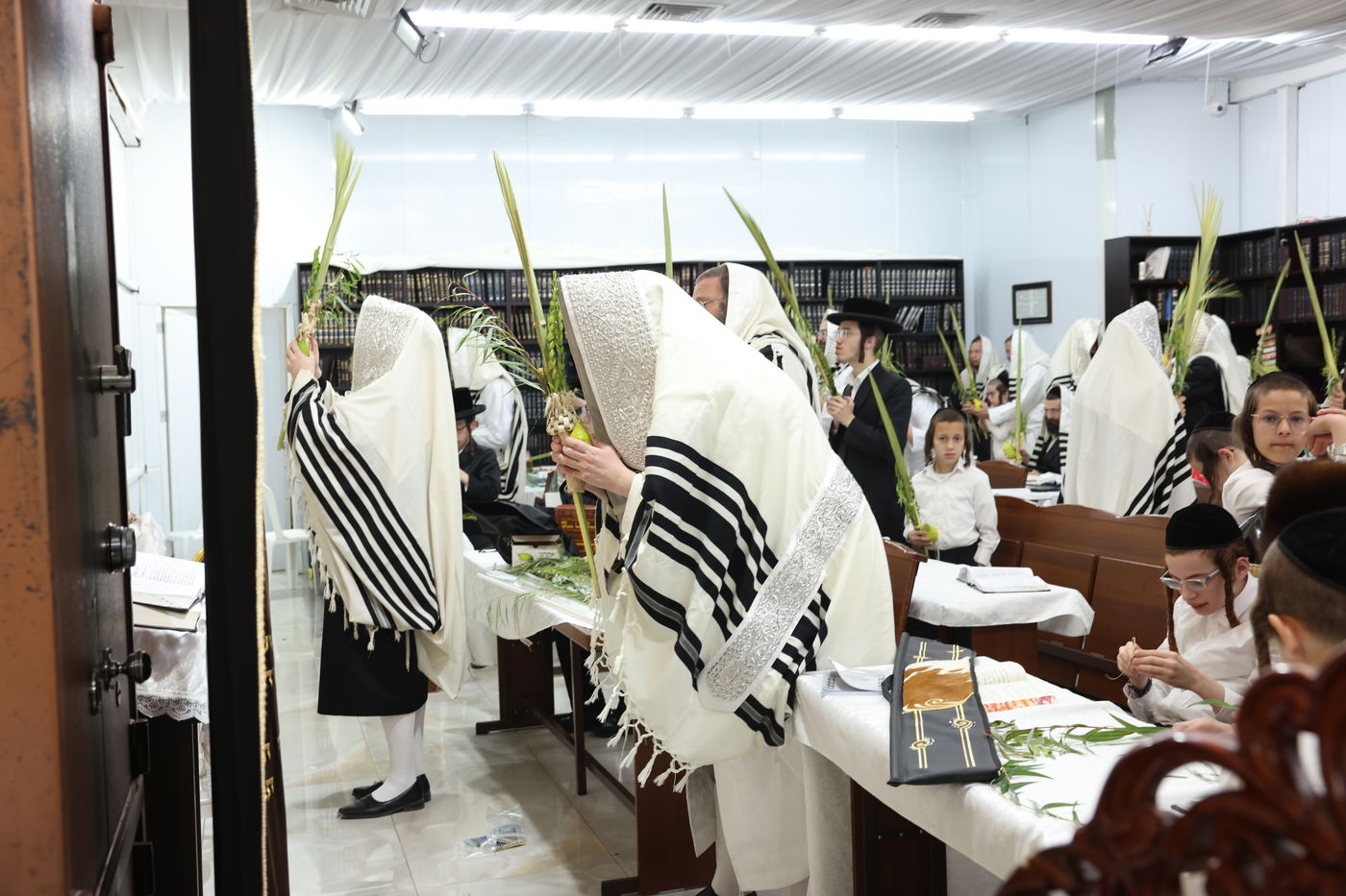 סוכות בחצר ספינקא בית שמש