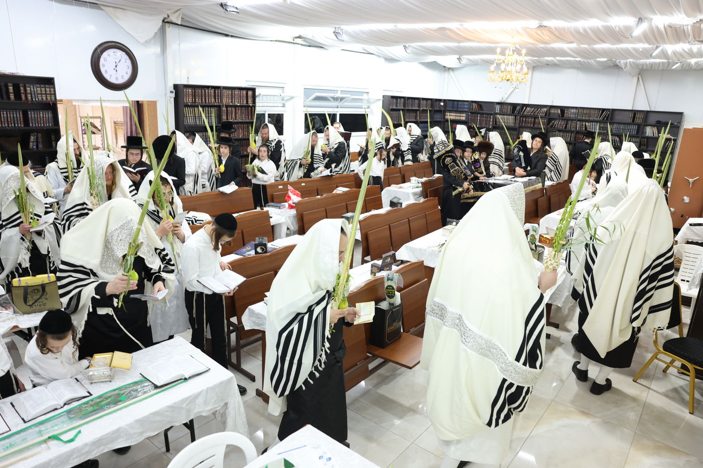 סוכות בחצר ספינקא בית שמש