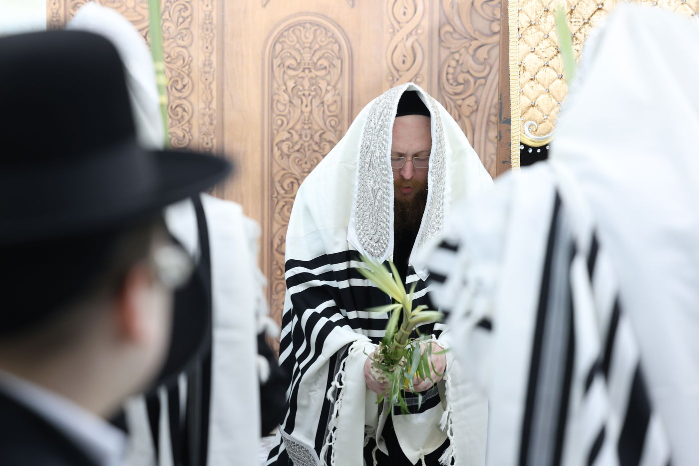 סוכות בחצר ספינקא בית שמש