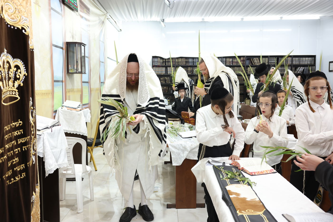 סוכות בחצר ספינקא בית שמש