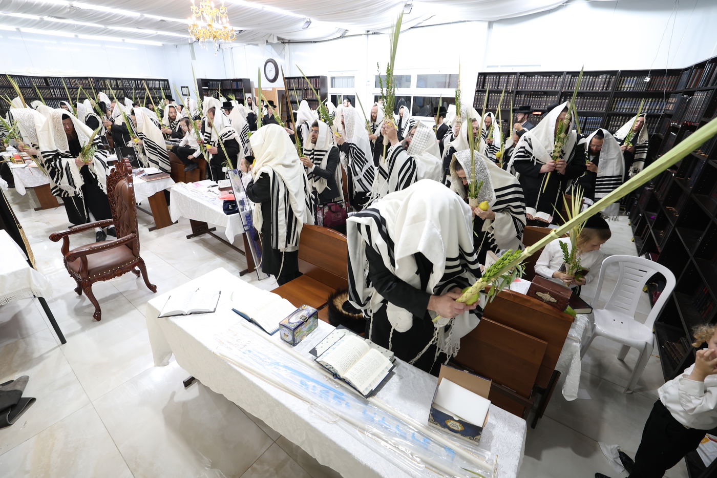 סוכות בחצר ספינקא בית שמש