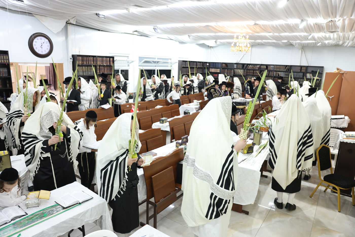 סוכות בחצר ספינקא בית שמש