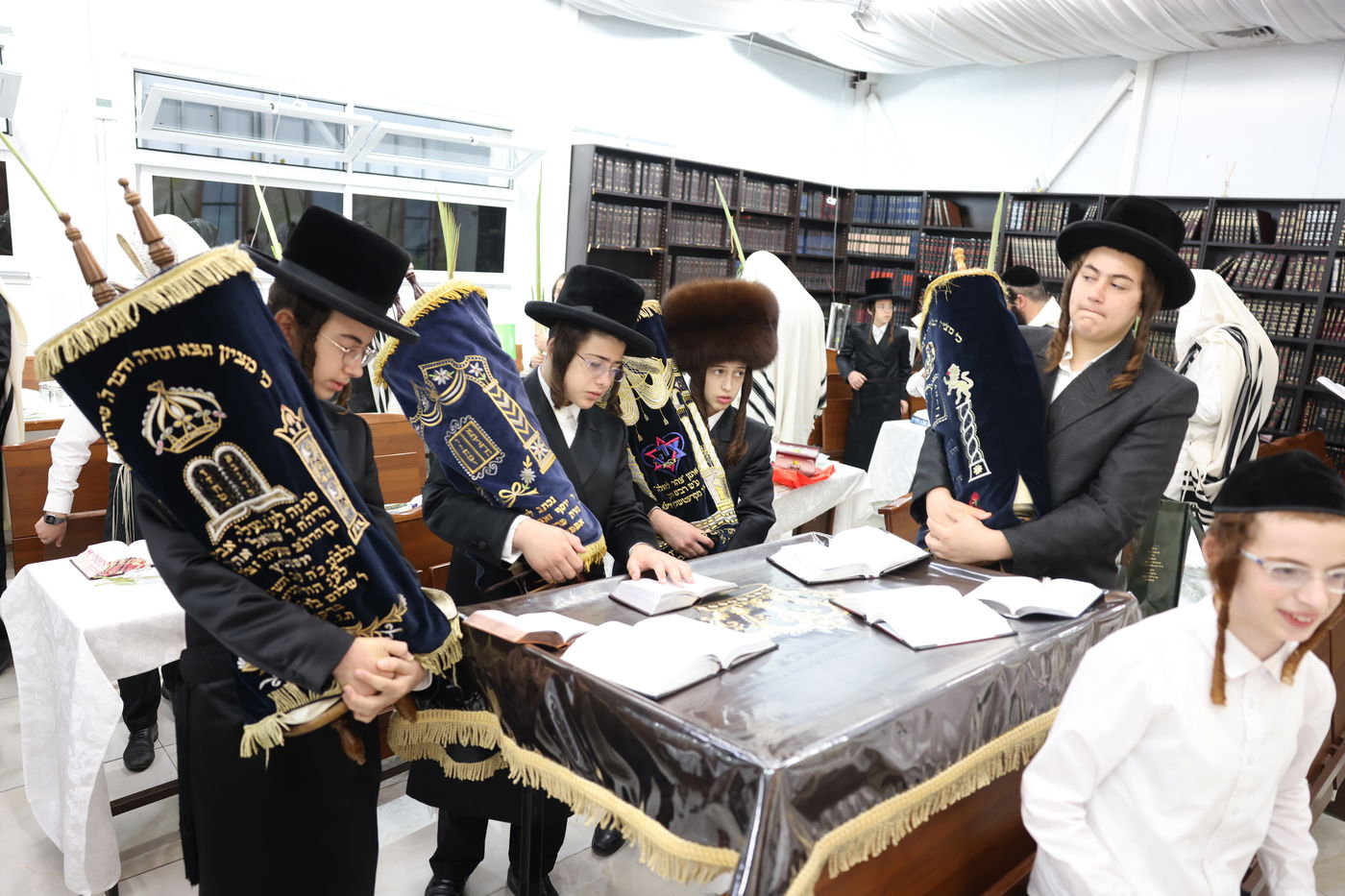 סוכות בחצר ספינקא בית שמש