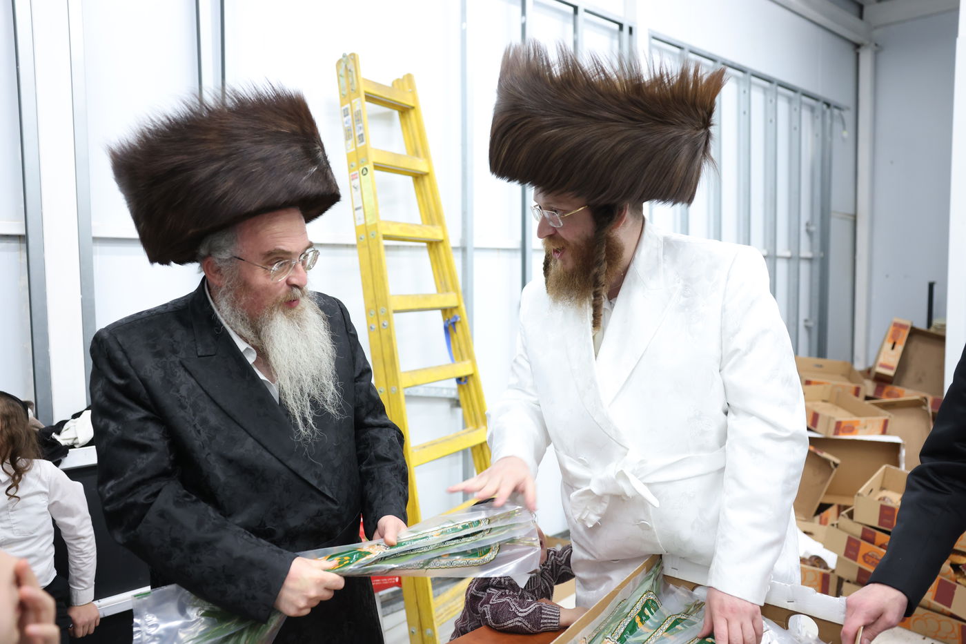 סוכות בחצר ספינקא בית שמש