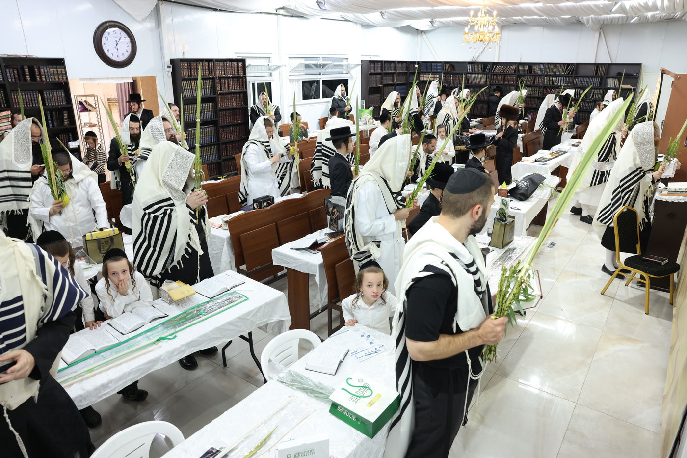 סוכות בחצר ספינקא בית שמש