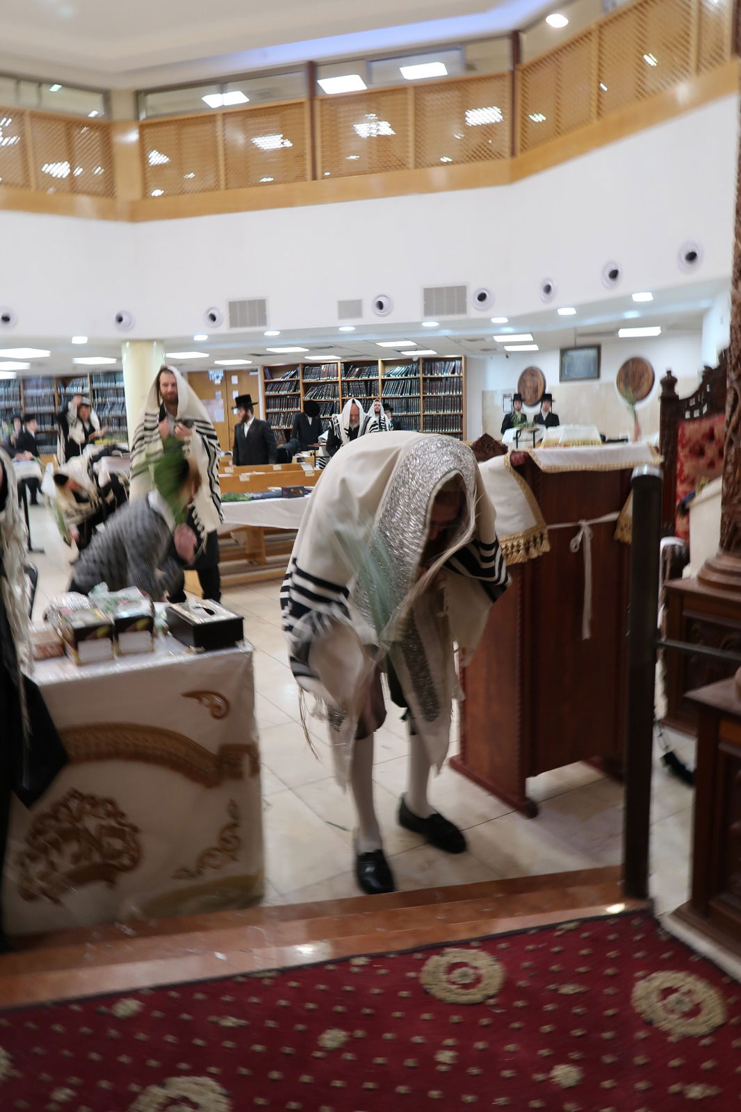 ירח האיתנים בחצה"ק קאליב