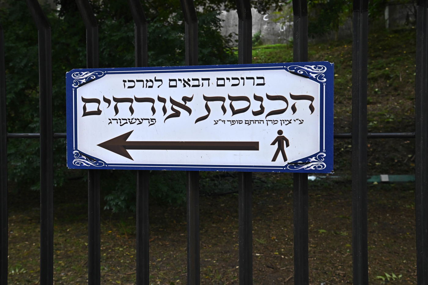 הילולת מרן ה'חתם סופר' זי"ע בעיר פרעשבורג