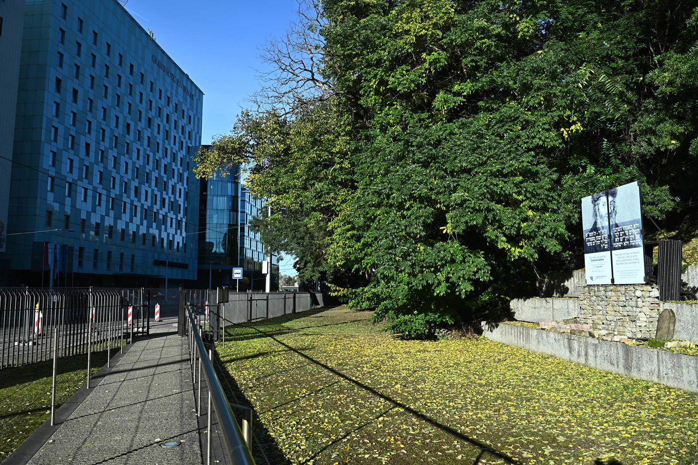 הילולת מרן ה'חתם סופר' זי"ע בעיר פרעשבורג