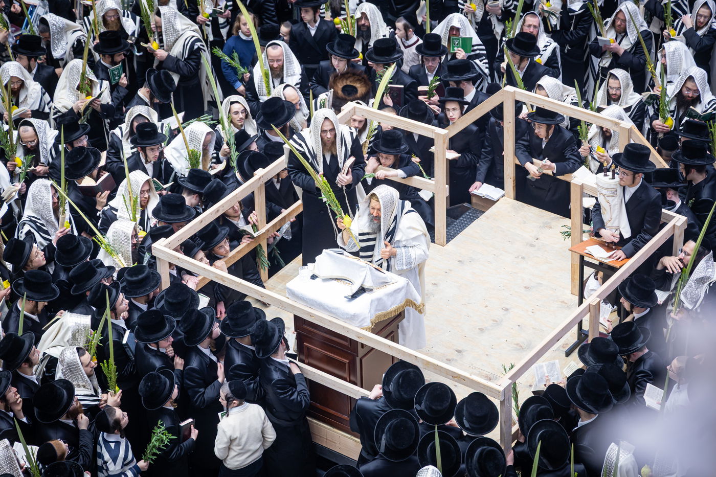 חג הסוכות ושמחת תורה בחצה"ק באבוב 45