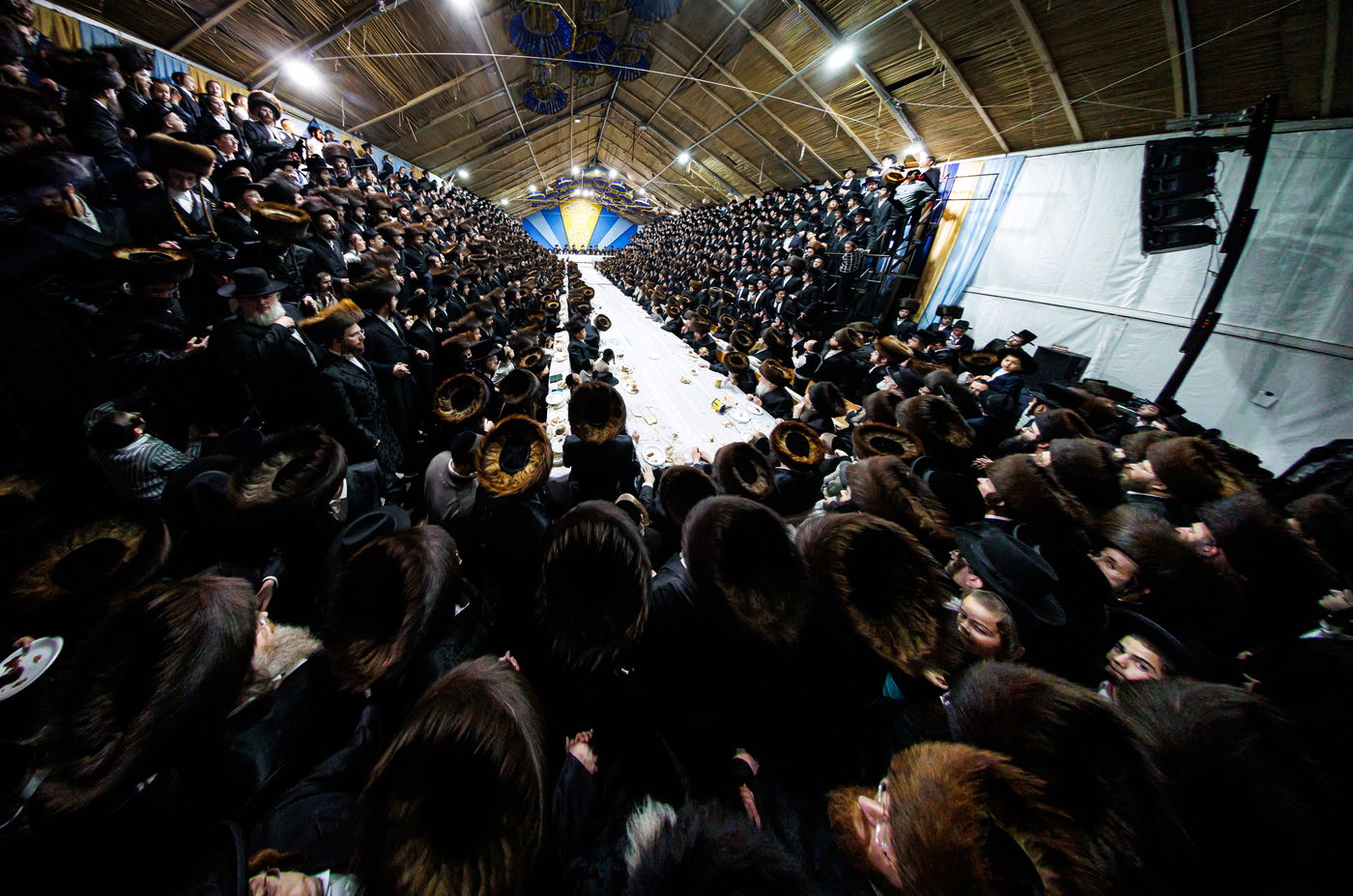 חג הסוכות ושמחת תורה בחצה"ק באבוב 45