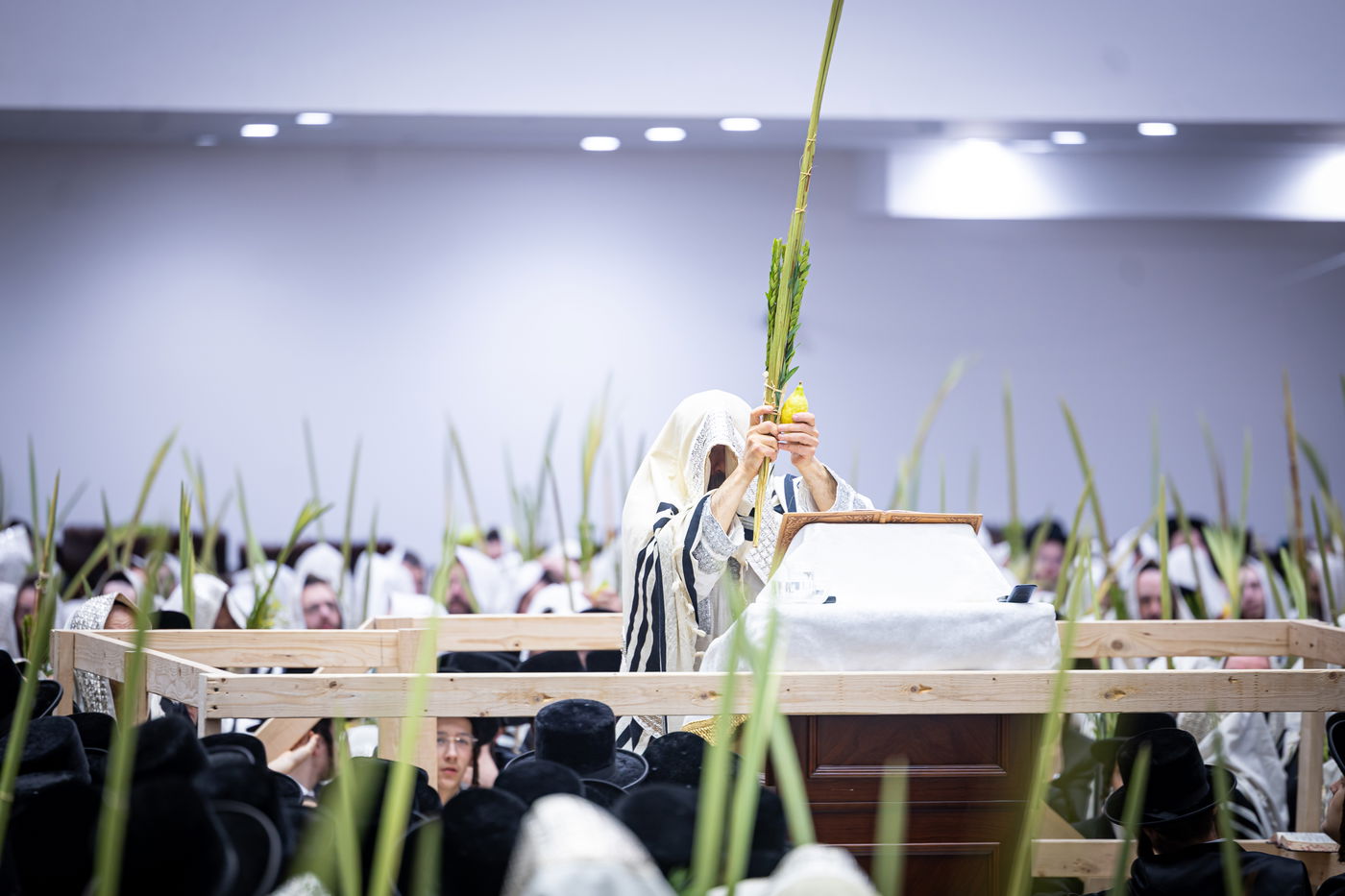 חג הסוכות ושמחת תורה בחצה"ק באבוב 45