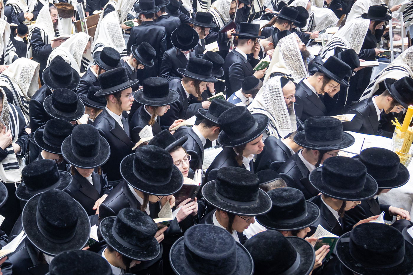 חג הסוכות ושמחת תורה בחצה"ק באבוב 45