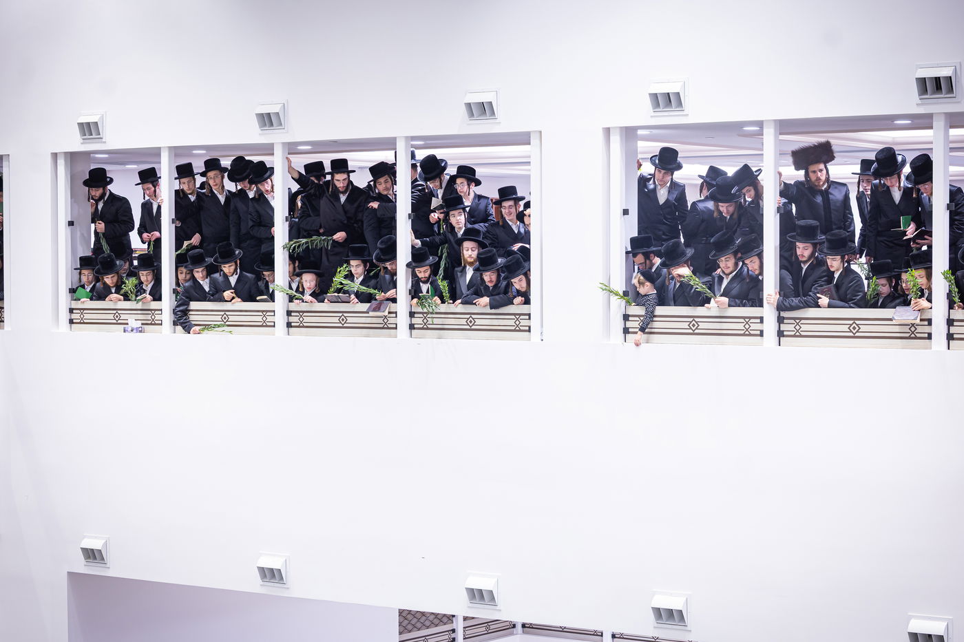 חג הסוכות ושמחת תורה בחצה"ק באבוב 45