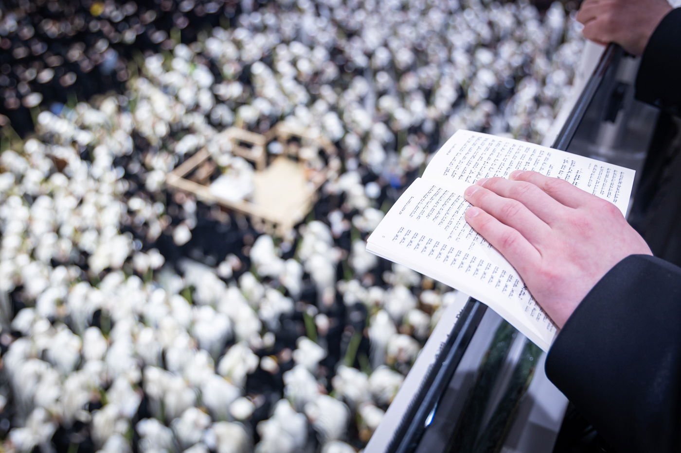 חג הסוכות ושמחת תורה בחצה"ק באבוב 45