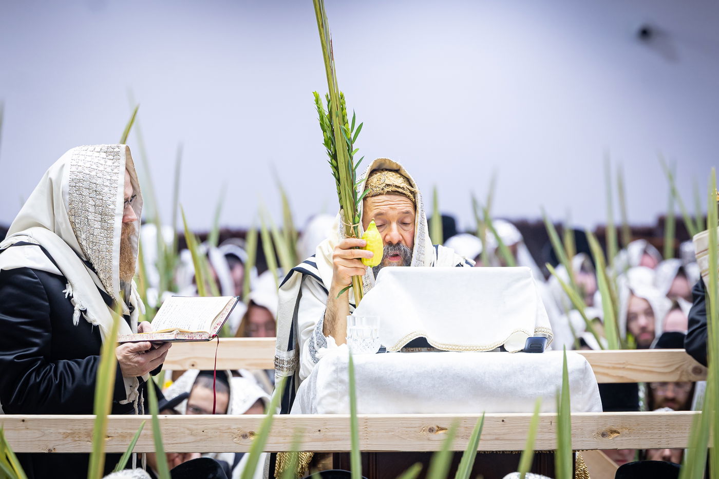 חג הסוכות ושמחת תורה בחצה"ק באבוב 45
