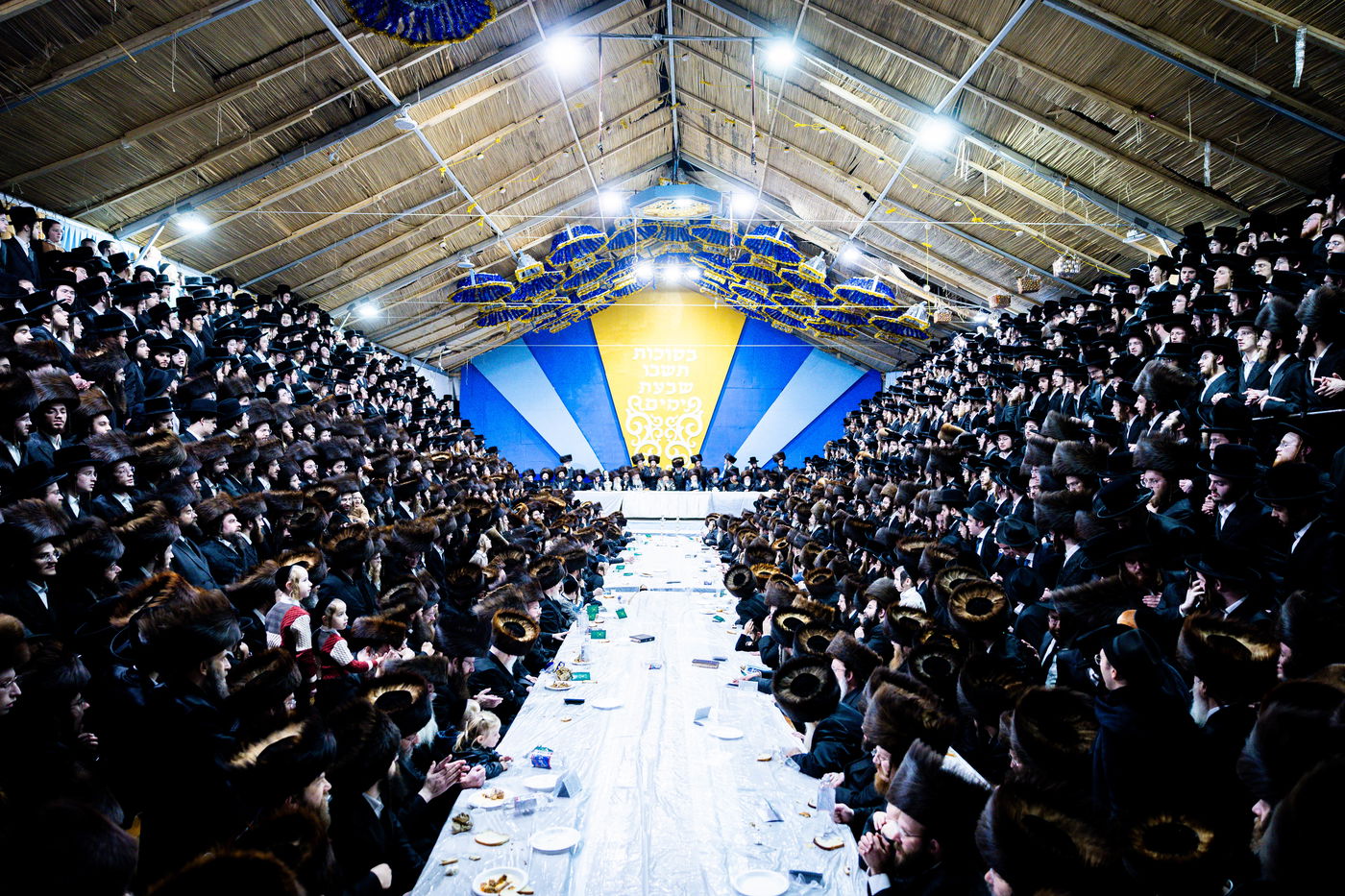 חג הסוכות ושמחת תורה בחצה"ק באבוב 45