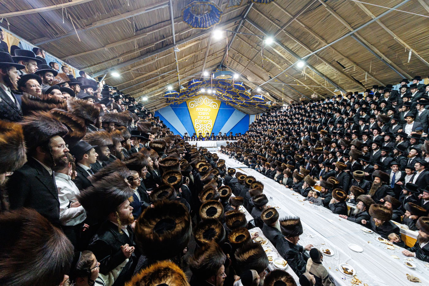 חג הסוכות ושמחת תורה בחצה"ק באבוב 45