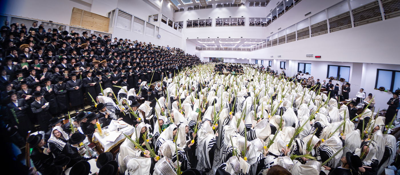 חג הסוכות ושמחת תורה בחצה"ק באבוב 45