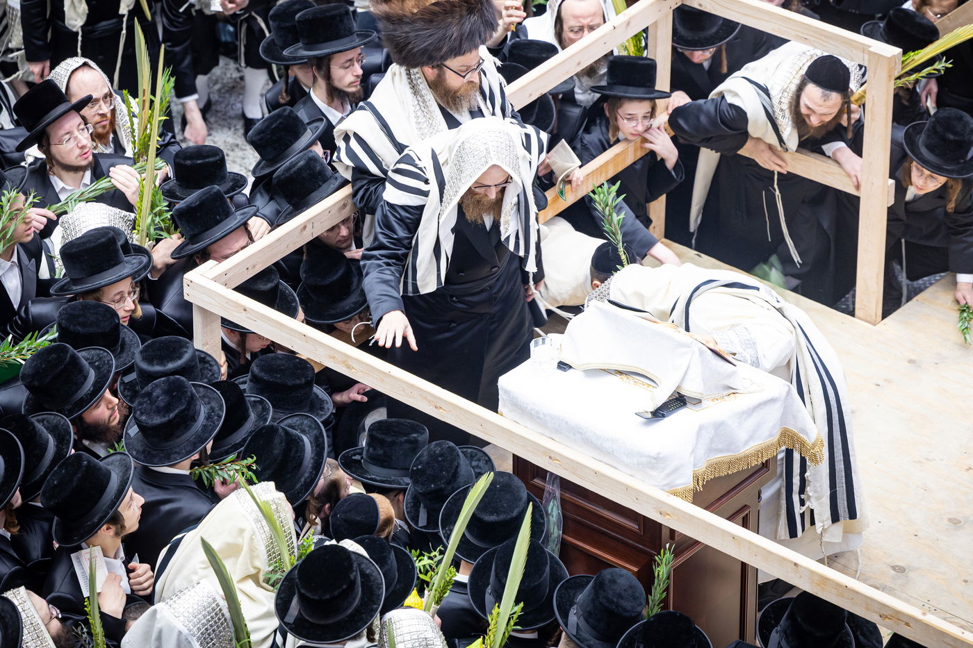 חג הסוכות ושמחת תורה בחצה"ק באבוב 45