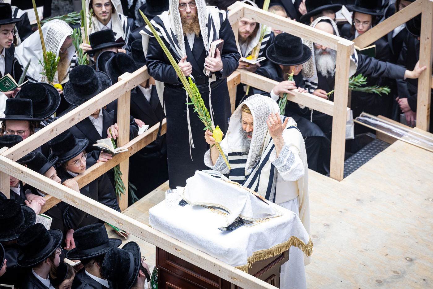 חג הסוכות ושמחת תורה בחצה"ק באבוב 45