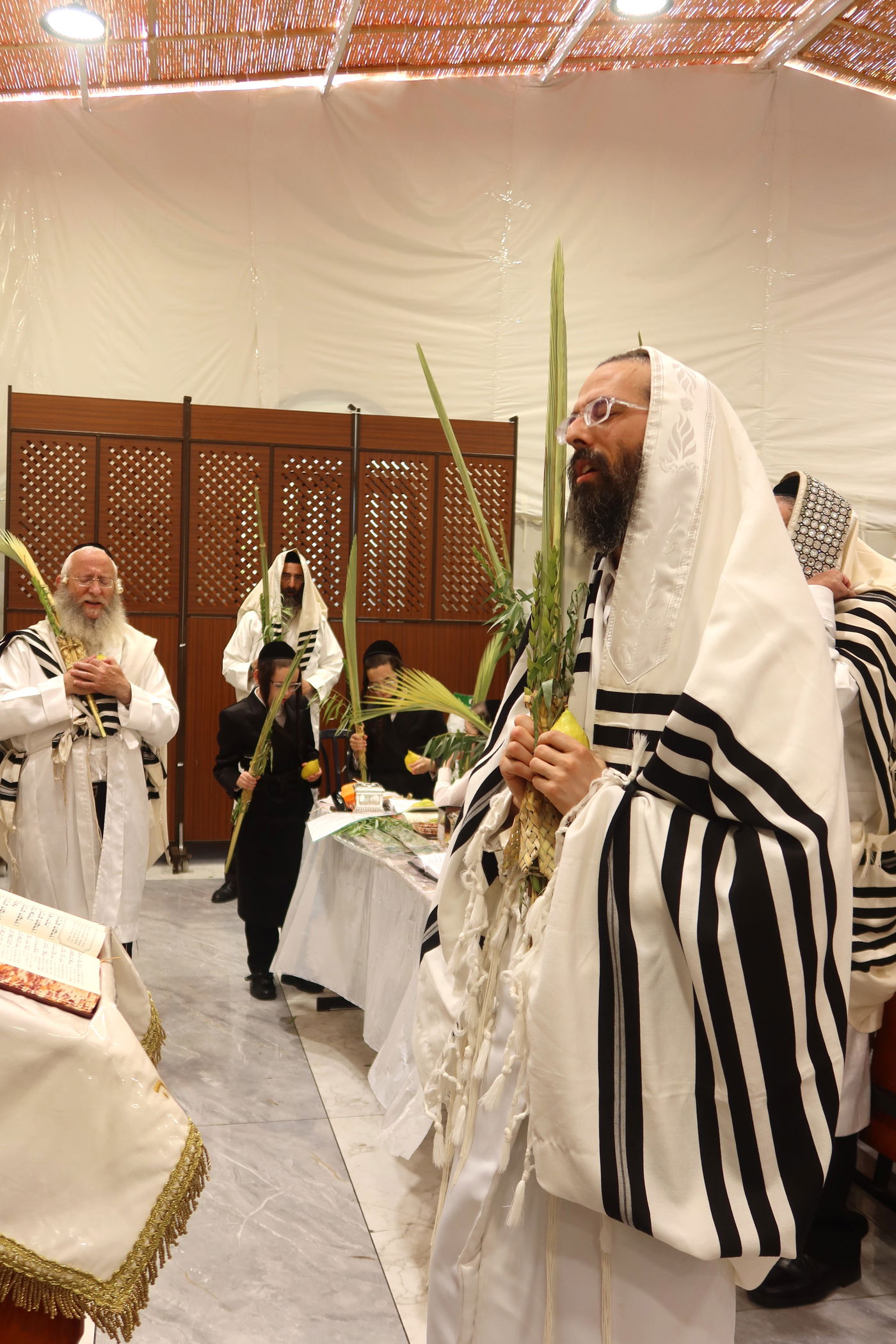 הושענא רבה בחצה"ק זוועהיל