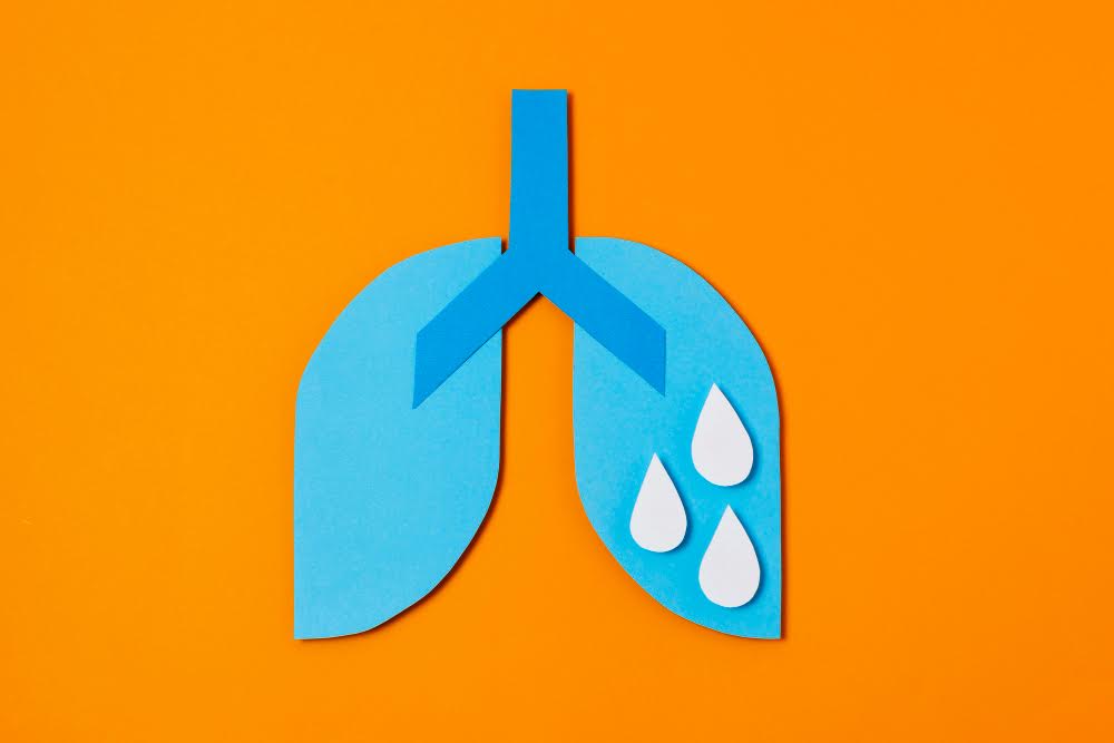 אילוסטרציה