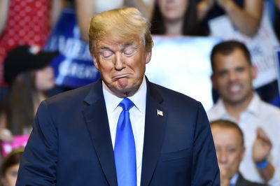 פייק ניוז. דונלד טראמפ