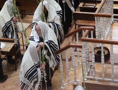 שמחת בית השואבה ונענועים בחצה''ק פאפא