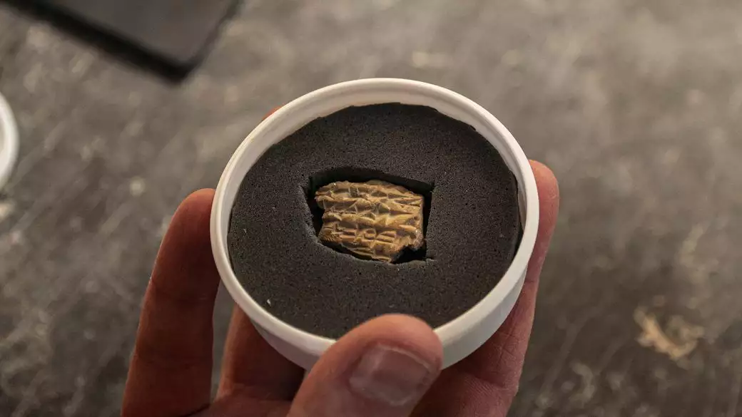 טביעת החותם האשורי 