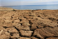 בצורת בסמוך לים המלח