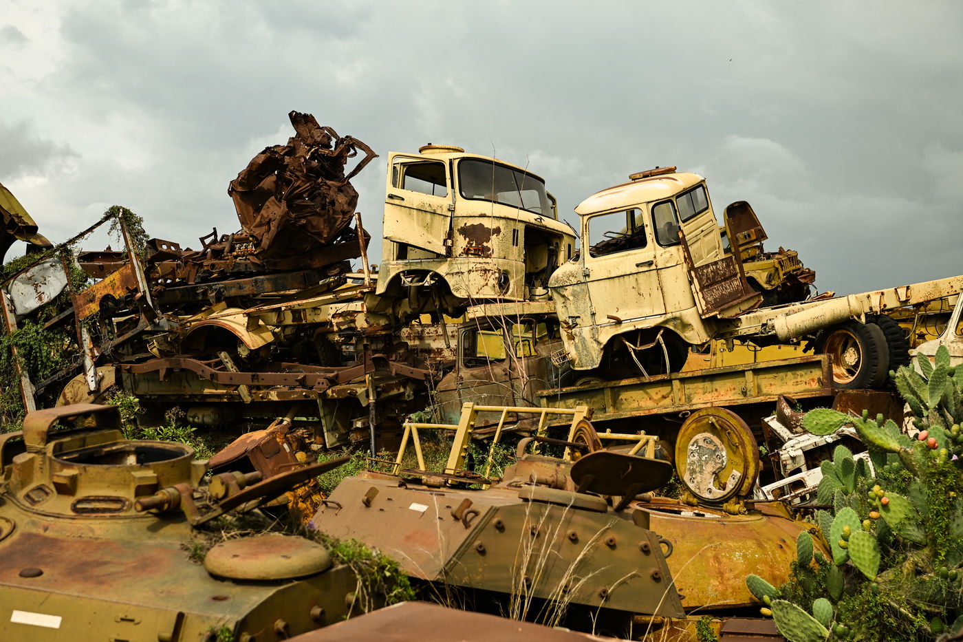 ביקור נדיר באריתריאה