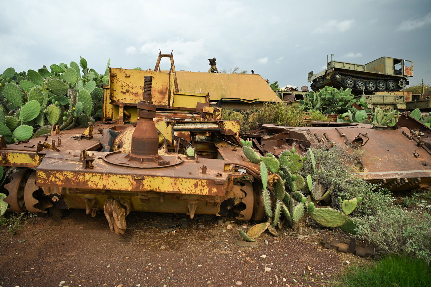 ביקור נדיר באריתריאה