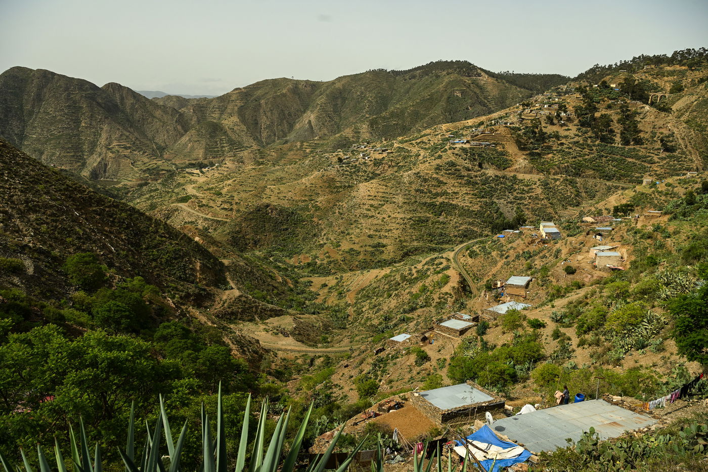 ביקור נדיר באריתריאה