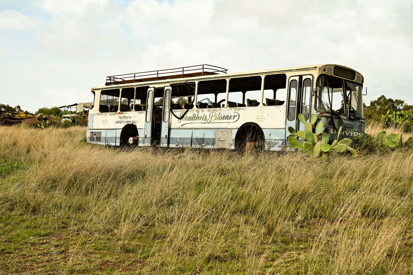ביקור נדיר באריתריאה