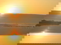 אגמון החולה