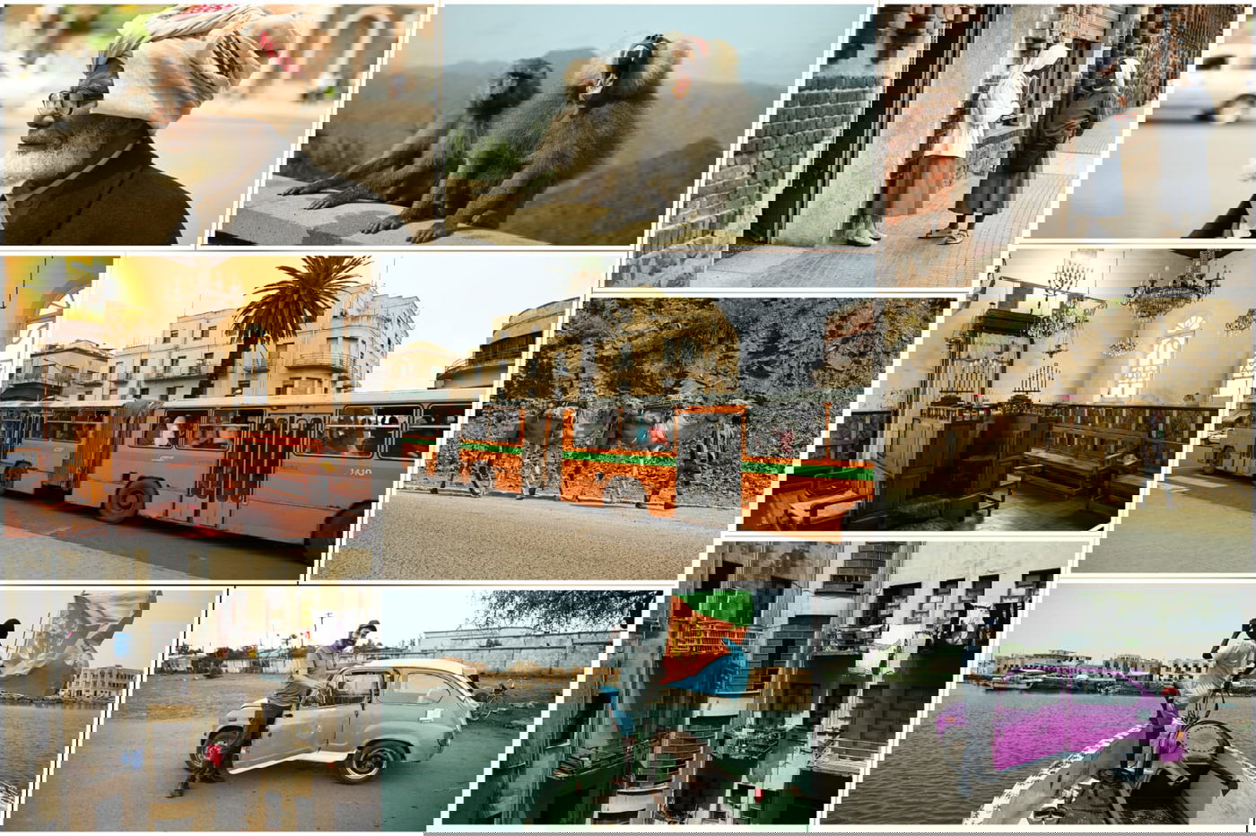 צפון קוריאה של אפריקה: ביקור נדיר ומצולם במדינת אריתריאה | צפו