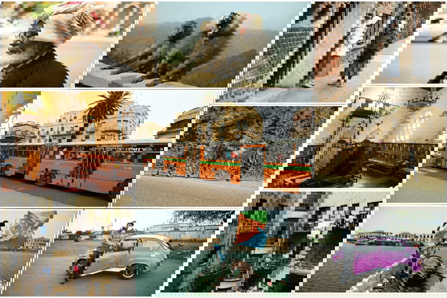 צפון קוריאה של אפריקה: ביקור נדיר ומצולם במדינת אריתריאה | צפו