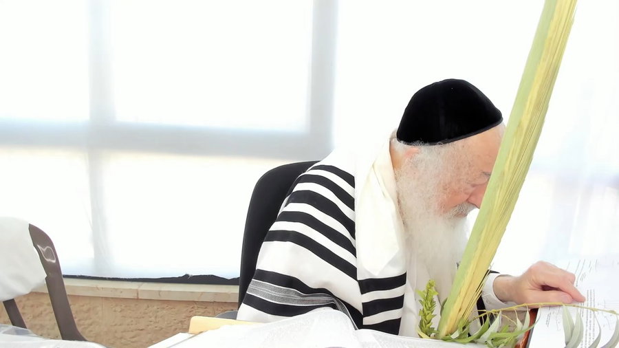 הרב יעקב דוד סטפנסקי בשיעור על מסכת חולין
